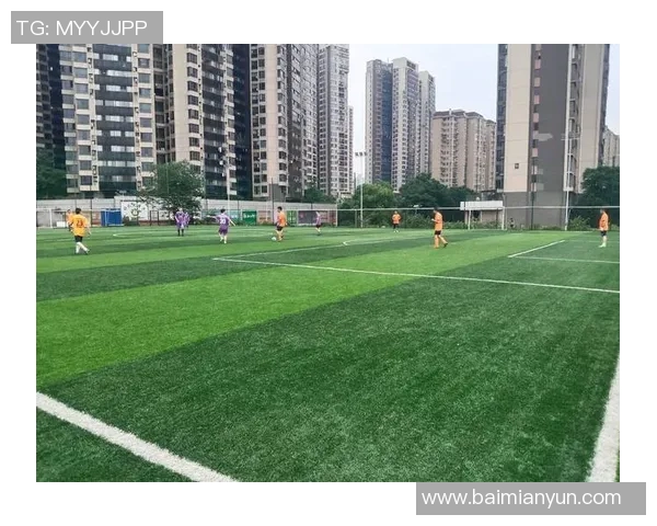 杨丽的足球人生深度对话：从绿茵场到人生舞台的精彩旅程