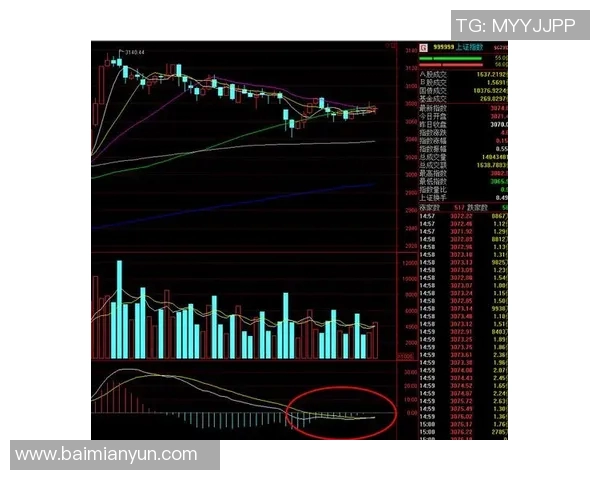 武汉羽毛球队与深圳羽毛球队赛后复盘分析比赛节奏与战术对比